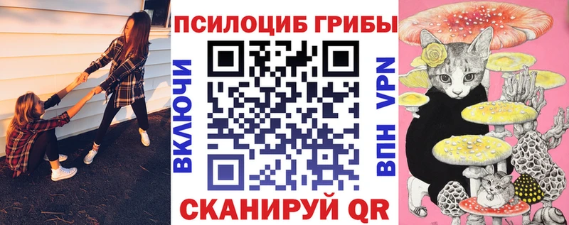 Псилоцибиновые грибы прущие грибы  это клад  Камышин 