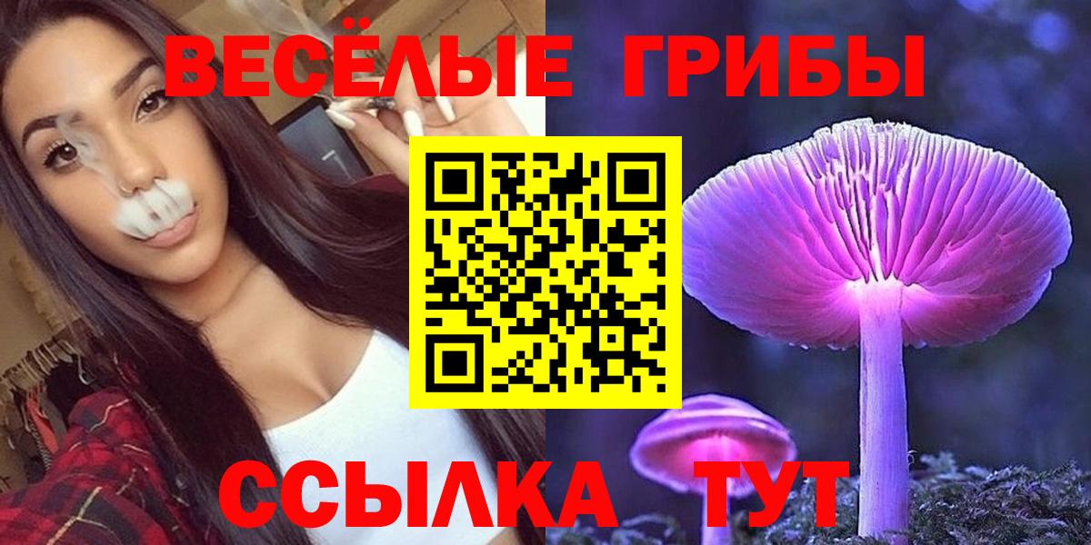 Псилоцибиновые грибы Psilocybe  Вход с VPN  Камышин 